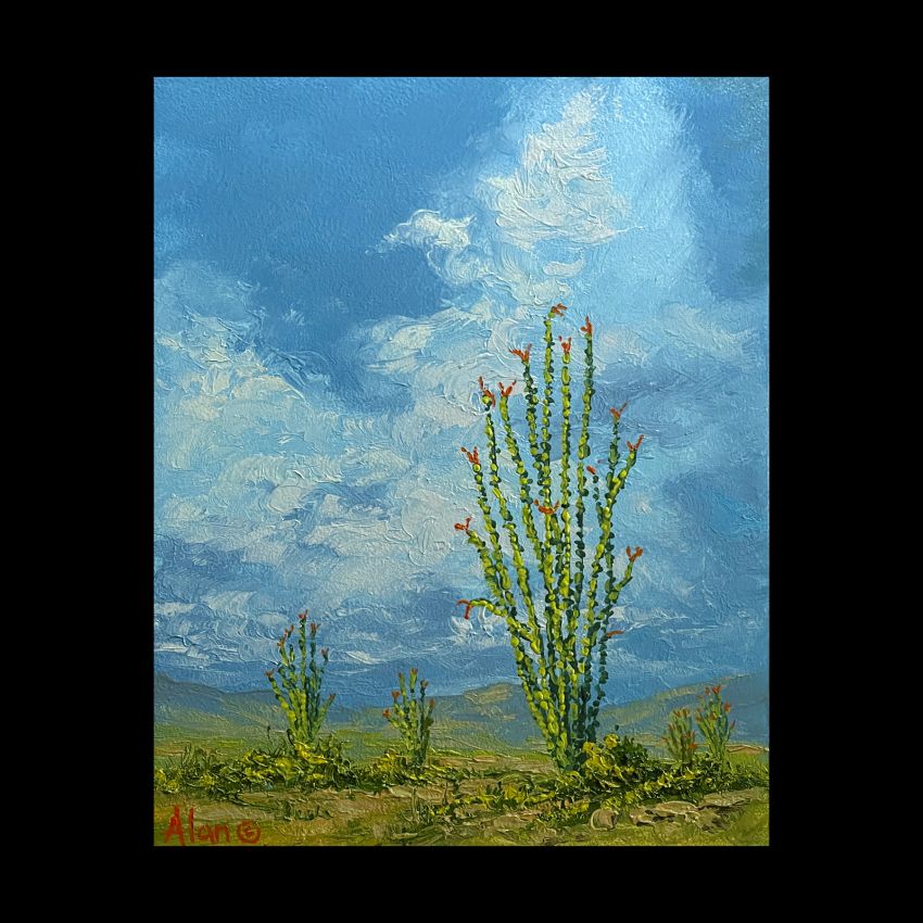Ocotillo Garden